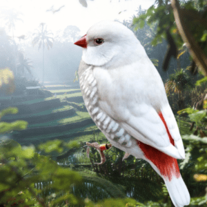 Silver Diamond Sparrow