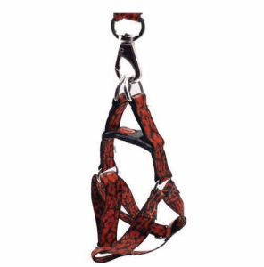 Fancy Special Nylon Harness