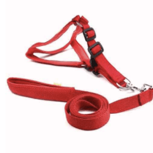 Nylon Padded Harness Set 1 inch