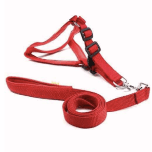 Nylon Padded Harness Set 3/4 inch