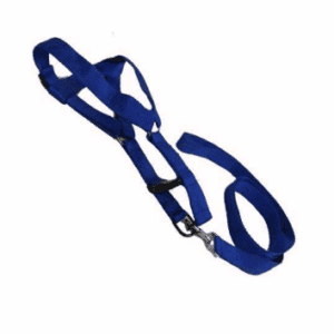 Special Nylon Leash & Harness