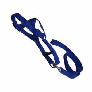 Special Nylon Leash Harness