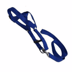 Special Nylon Leash Harness
