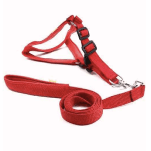 Special Nylon Padded Harness