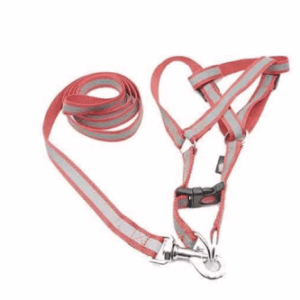Special Nylon Radium Leash Harness