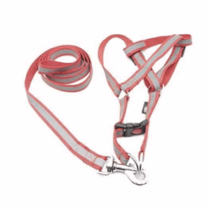 Special Nylon Radium Leash Harness