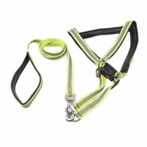 Special Nylon Radium Padded Leash Harness