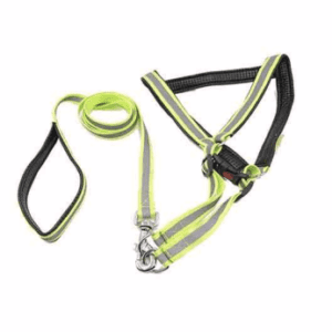 Special Nylon Radium Padded Leash Harness