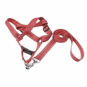 Special Nylon Reflecting Leash Harness