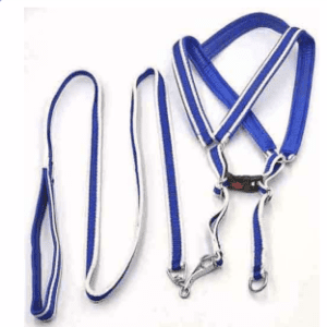 1.5 Leash & Harness Set