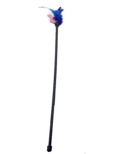 Cat Playing Rod Feather