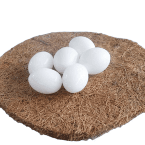 False Egg for Nesting