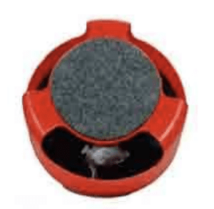 Catch the Mouse Cat Toy