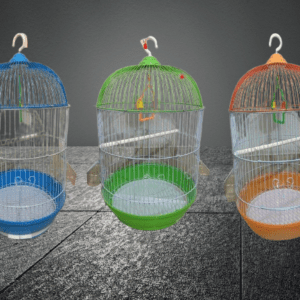 Imported Fancy Cage Round Shape [12pc-1box]