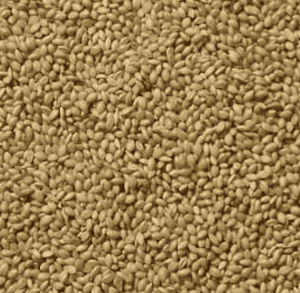 Premium Small Kangni seed Deluxe (Finch)