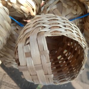 Beter Jhuri(Finch nest)