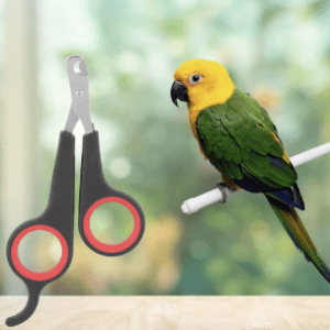 Bird Nail Clippers