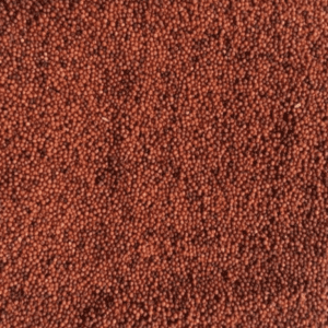 Red Millet