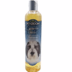 GROOM N FRESH Conditioning Shampoo