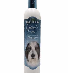 GROOM N FRESH Conditioning Shampoo