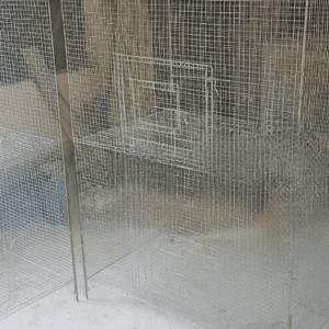 4/2/2 Feet Sun Conure Cage (3 boxes)